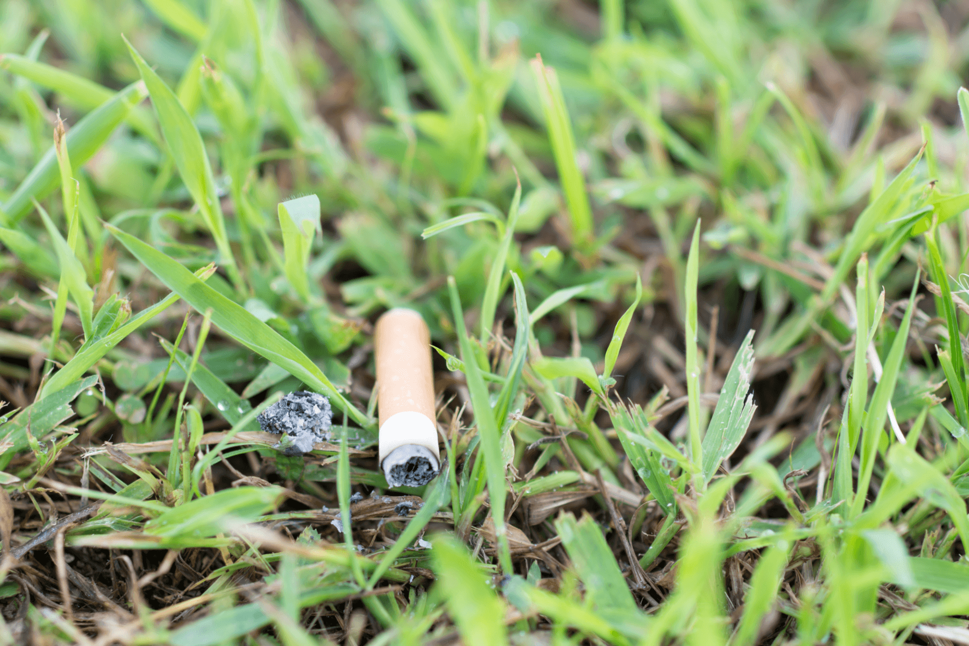 Een sigaret in het gras
